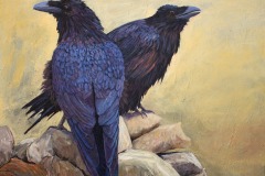 Ravens 